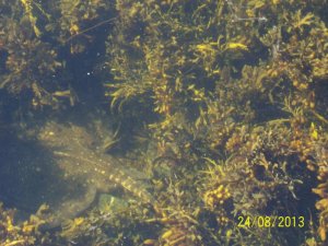 100_2566.jpg 100_2566.jpg