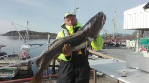 IMG-20170608-WA0009.jpg IMG-20170608-WA0009.jpg