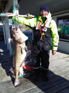 IMG-20170611-WA0006.jpg IMG-20170611-WA0006.jpg