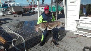IMG-20170611-WA0009.jpg IMG-20170611-WA0009.jpg