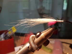 20170702_140352.jpg 20170702_140352.jpg