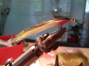 20170702_142203.jpg 20170702_142203.jpg