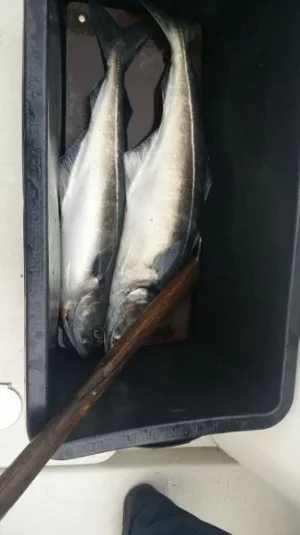 k-IMG-20170708-WA0006.webp k-IMG-20170708-WA0006.webp