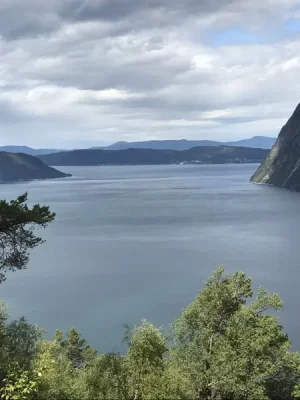 IMG_1892.webp IMG_1892.webp