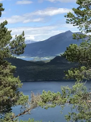 IMG_1912.webp IMG_1912.webp