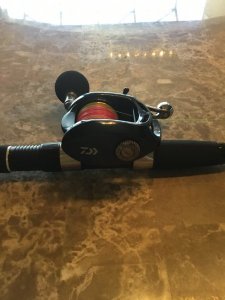 IMG_0081.JPG IMG_0081.JPG