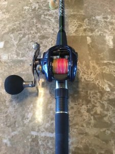 IMG_0082.JPG IMG_0082.JPG