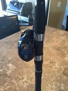 IMG_0085.JPG IMG_0085.JPG