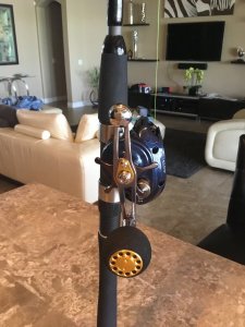 IMG_0086.JPG IMG_0086.JPG