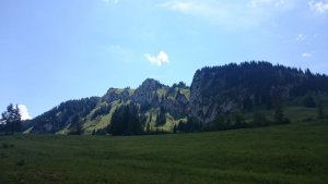 DSC_0111.JPG