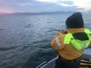 IMG_0899.JPG IMG_0899.JPG