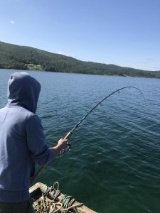 IMG_0932.JPG IMG_0932.JPG