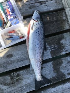 IMG_0928.JPG IMG_0928.JPG