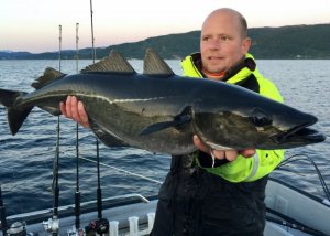 IMG_0960.JPG IMG_0960.JPG