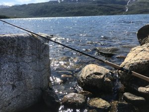 IMG_0969.JPG IMG_0969.JPG