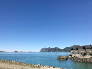 IMG_0977.JPG IMG_0977.JPG