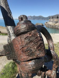 IMG_0979.JPG IMG_0979.JPG