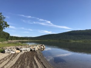 IMG_0985.JPG IMG_0985.JPG