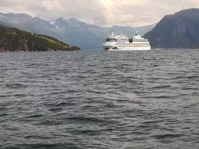 IMG_20170725_140145.webp IMG_20170725_140145.webp