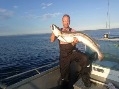 WhatsApp Image 2017-07-25 at 13.30.01.webp