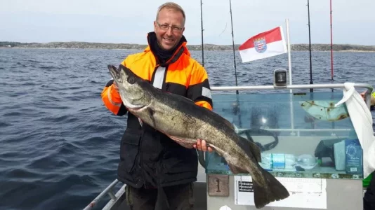 WhatsApp Image 2017-07-26 at 13.45.51.webp