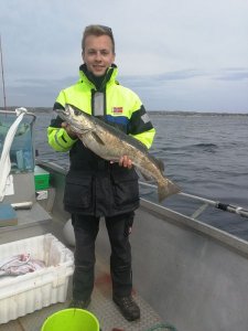 WhatsApp Image 2017-07-26 at 17.14.20.jpeg WhatsApp Image 2017-07-26 at 17.14.20.jpeg