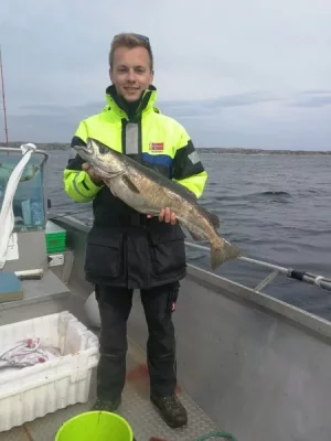 WhatsApp Image 2017-07-26 at 17.14.20.webp