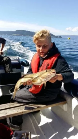 2017-07-26-PHOTO-00000089.webp 2017-07-26-PHOTO-00000089.webp