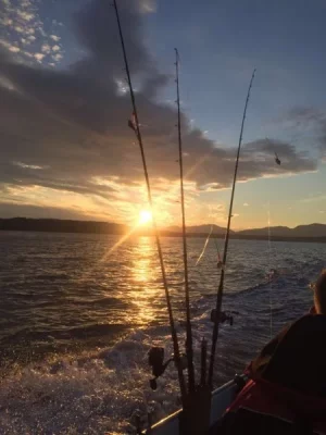 2017-07-26-PHOTO-00000090.webp 2017-07-26-PHOTO-00000090.webp