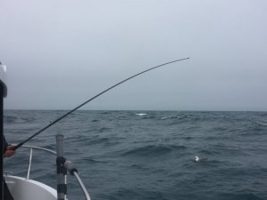 IMG_0816.JPG IMG_0816.JPG