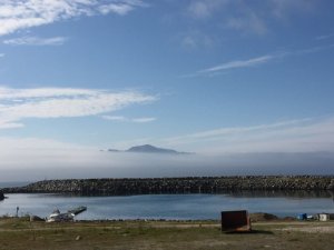 IMG_0835.JPG IMG_0835.JPG