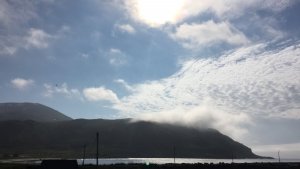 IMG_0837.JPG IMG_0837.JPG