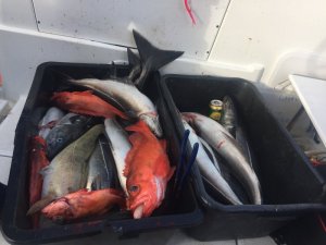 IMG_0858.JPG IMG_0858.JPG