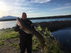 IMG_0878.JPG IMG_0878.JPG