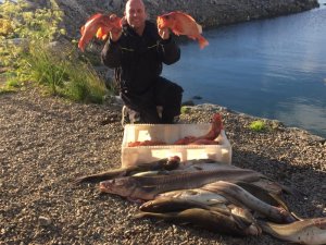 IMG_0915.JPG IMG_0915.JPG