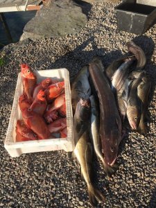 IMG_0920.JPG IMG_0920.JPG