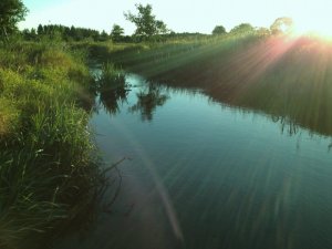 IMG_0087 (1024x768).jpg