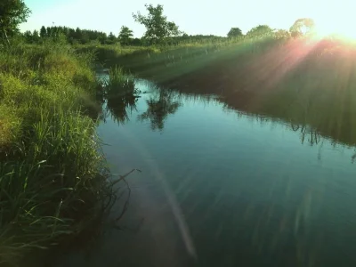 IMG_0087 (1024x768).webp