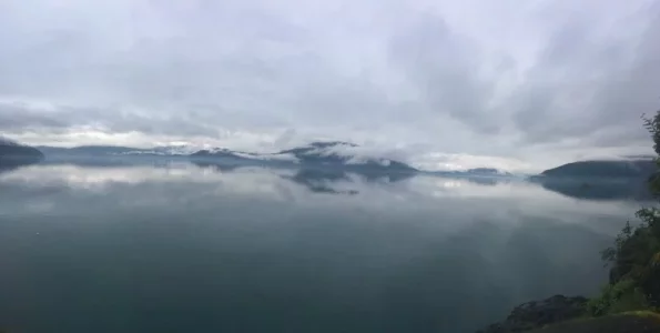 image.webp image.webp