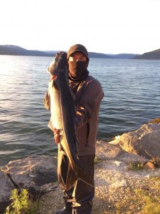 image.jpeg image.jpeg