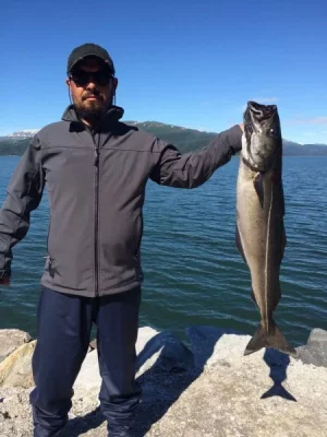 image.webp image.webp