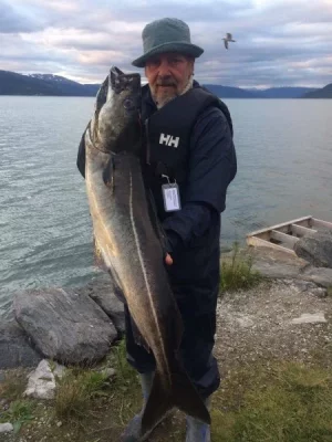 image.webp image.webp