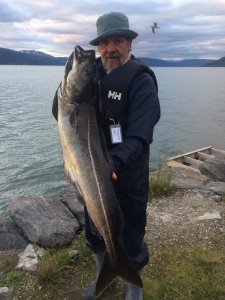 image.jpeg image.jpeg