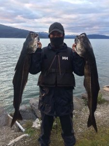 image.jpeg image.jpeg