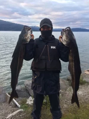 image.webp image.webp