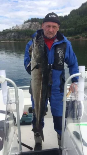 image.webp image.webp