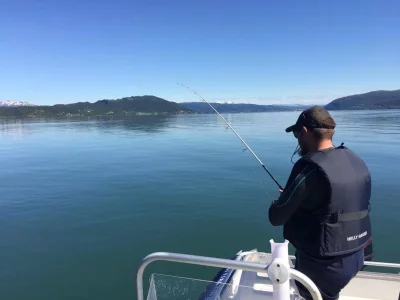 image.webp image.webp