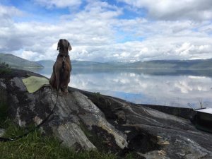 image.jpeg image.jpeg