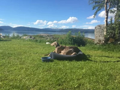 image.webp image.webp