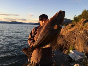 image.jpeg image.jpeg